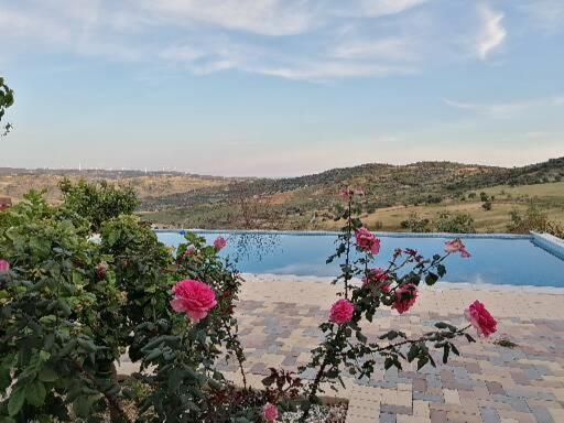 Infinity View Villa Nata Екстериор снимка